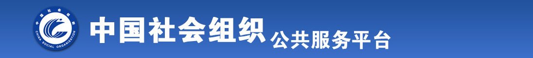 把生殖器套上丝袜插经外阴全国社会组织信息查询